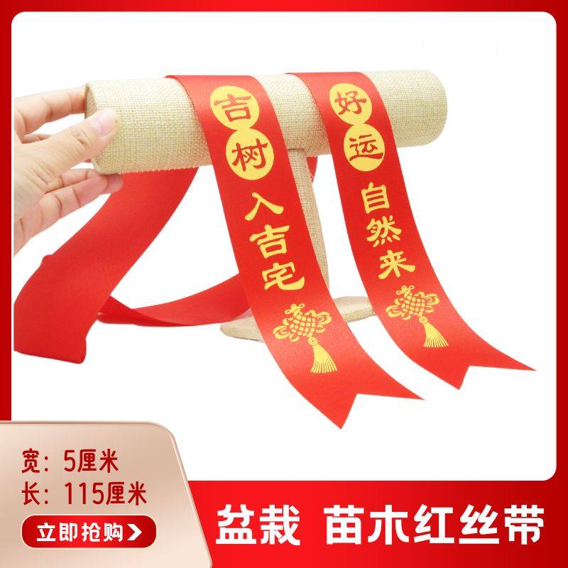 苗木丝带系盆栽红布条