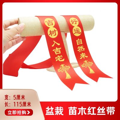 苗木丝带系盆栽红布条