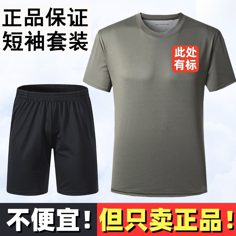 正品3543夏季体能训练服套装男女体能短袖短裤体能服新式速干t恤 户外/登山/野营/旅行用品 T恤 原图主图