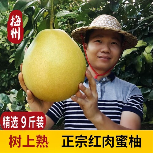 红心蜜柚红肉蜜柚梅州柚子
