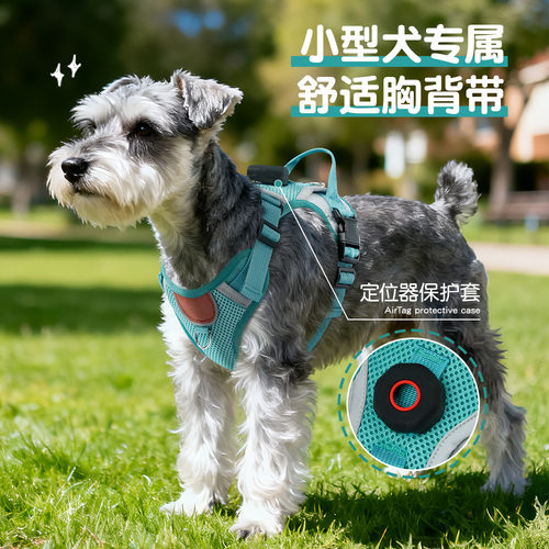 舒适防丢狗狗胸背带小型犬双工网布狗狗牵引绳可装定位器遛狗绳