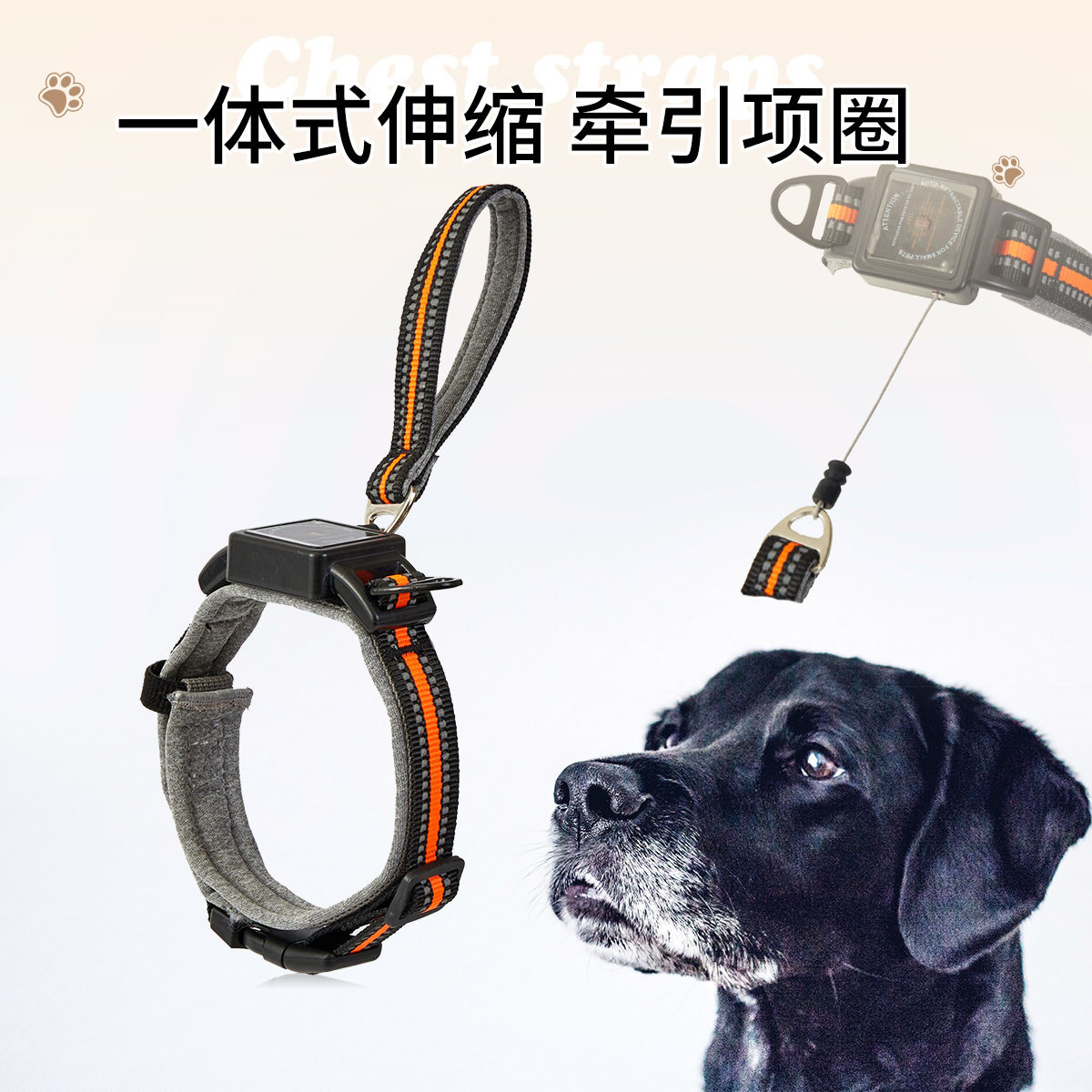 一体式狗狗项圈自带伸缩式牵引绳宠物外出项圈穿戴式自动伸缩牵引
