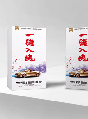 车载音乐U盘 一听入魂 无损格式 听尽每个音符