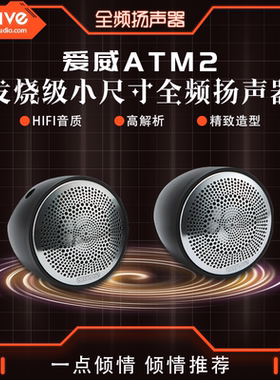 爱威ATM2全频铝音箱汽车音响改装中置环绕天空声道传统全频包安装