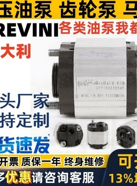 brevini齿轮泵BFP100 12 32DSAF PHC1-4.3 MH-4.2液压泵OT100 P07