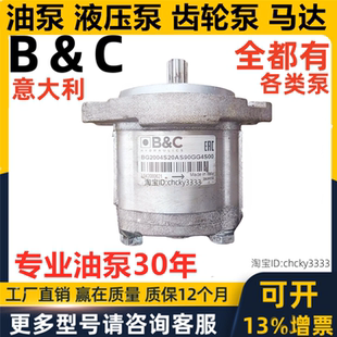意大利B&C齿轮泵BG2004S20AS90GG4S00 BG2008ST0AT80GG4D00
