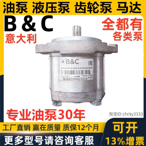 意大利B&C齿轮泵BG2004S20AS90GG4S00 BG2008ST0AT80GG4D00 BC