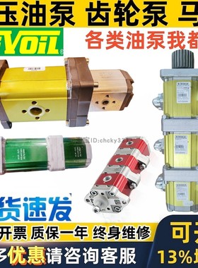 VIVOLO双联三联四联齿轮泵X XV 1 2 3 F T R P m VIVOIL 9M202