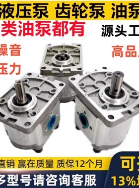 suorui齿轮泵SR超高压马达PLP.14.FP CBG CBT HGP CBFC CBF S PLP