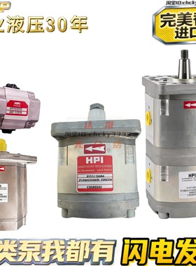 法国HPI齿轮油泵P1BAN1004 P0 P3 P1 M3 BAN AAN CBN 30 20 10 31