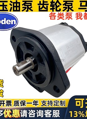boden齿轮泵BHP2A0D14H2Z13 BHP2AOD R 18H/D20/D25/D36H2Z13R