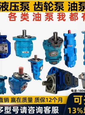 山东华勘机械齿轮泵BFR-13725-HK