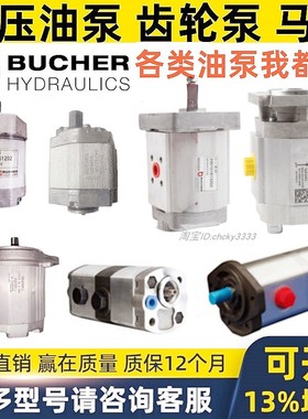 BUCHER齿轮泵AP100 APM212 AP 232 200 250 300-53 05 CBE-0.38F