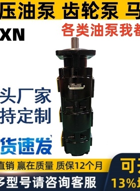 KXN液压泵齿轮泵GP60.100/100/63R01 GP 铸铁 越南车用 高压 马达
