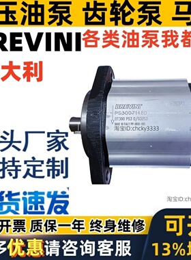 brevini液压泵OT200 OT303 OT100 OT300 -GR1/2/3 PS2007029D马达