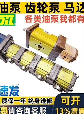 VIVOLO五联齿轮泵X3T8102ABBA XV2P-D6 XV 2P-D XV1P KV 2P 1P -S