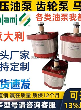 SALAMI齿轮泵2PE6,5D-G28P1-V-VS40 2PE26D 2PE16D 2PB6.2DP28P1