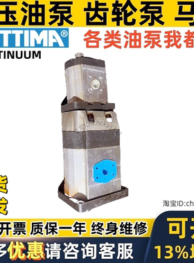 ETTIMA双联齿轮泵G47 G55 G75 G33 C R GR D38 D47 D28 D755  45