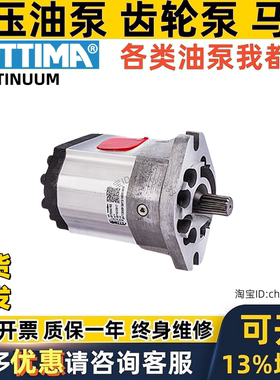 意大利S ETTIMA螺杆泵T21024155 AA5-A000198-AF6液压齿轮泵 马达