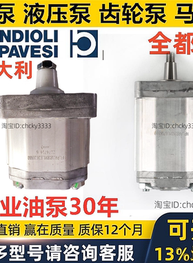 BONDIOLI齿轮泵HPLPA214 HPLPA 124 205 314 20S SMNG4G43HY 液压