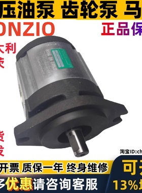 RONZIO液压油泵03ZBG40L265DN 03ZBG 20 25 64 55 35 50 L265DN