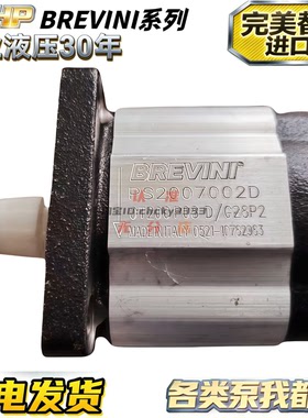 意大利brevini齿轮泵OT200P 08 16 11 14 20 22 25 D/G28P2 PS200