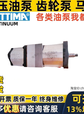 S ETTIMA continuum双联泵D47C50 DG D 38 28 47 72 55 33 36 C V