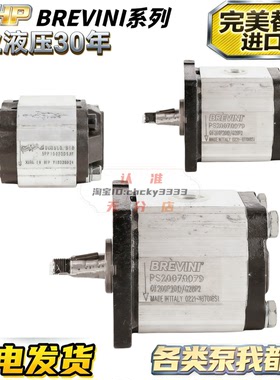 意大利Brevini齿轮泵OT100P11 OT200P04 OT300 P M 液压泵马达