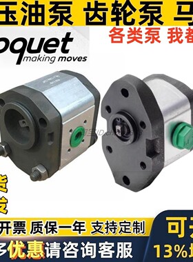 西班牙ROQUET齿轮泵1M1.5DF09R 1M 0.5 0.75 1.25 1 2 D F09R 22R