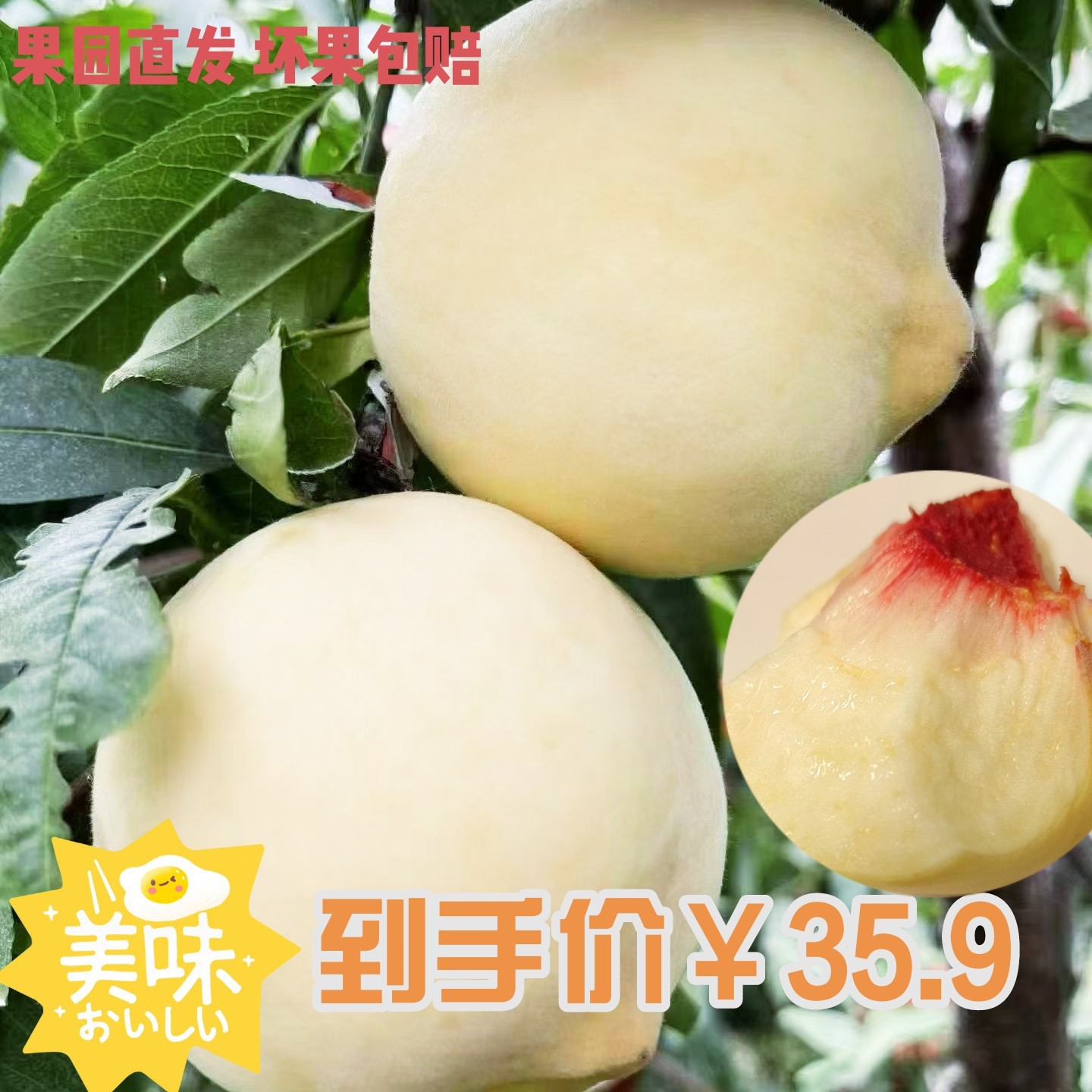 原鹿冬桃映霜红直发5斤坏果包赔