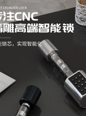 球形通通涂鸦指纹密码钥匙智能锁 卧室公寓民宿电子锁室内智能锁