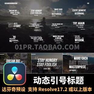 达芬奇字幕插件 12组动态文字引用引号语录标题