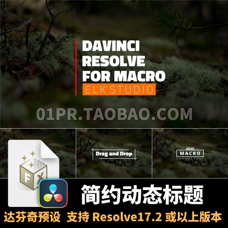 达芬奇字幕预设 简约动态标题动画文字公司企业