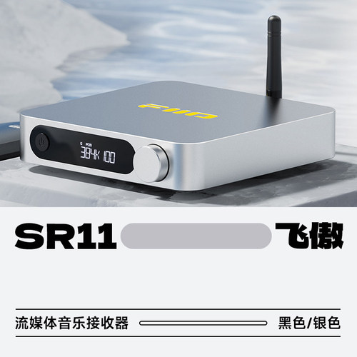 FiiO/飞傲流媒体接收器2.4G+5G