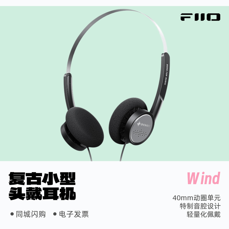 飞傲雪漫天Wind复古小型头戴耳机