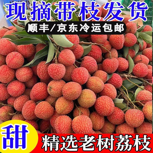 精选老树荔枝超甜多汁