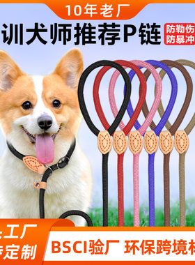 尼龙遛狗绳训狗犬绳牵引绳不勒手小型大型狗防爆狗链冲防咬断P