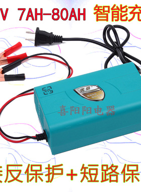 摩托车电瓶电动车汽车蓄电池充电器12V7AH12AH20AH45AH60A充电器