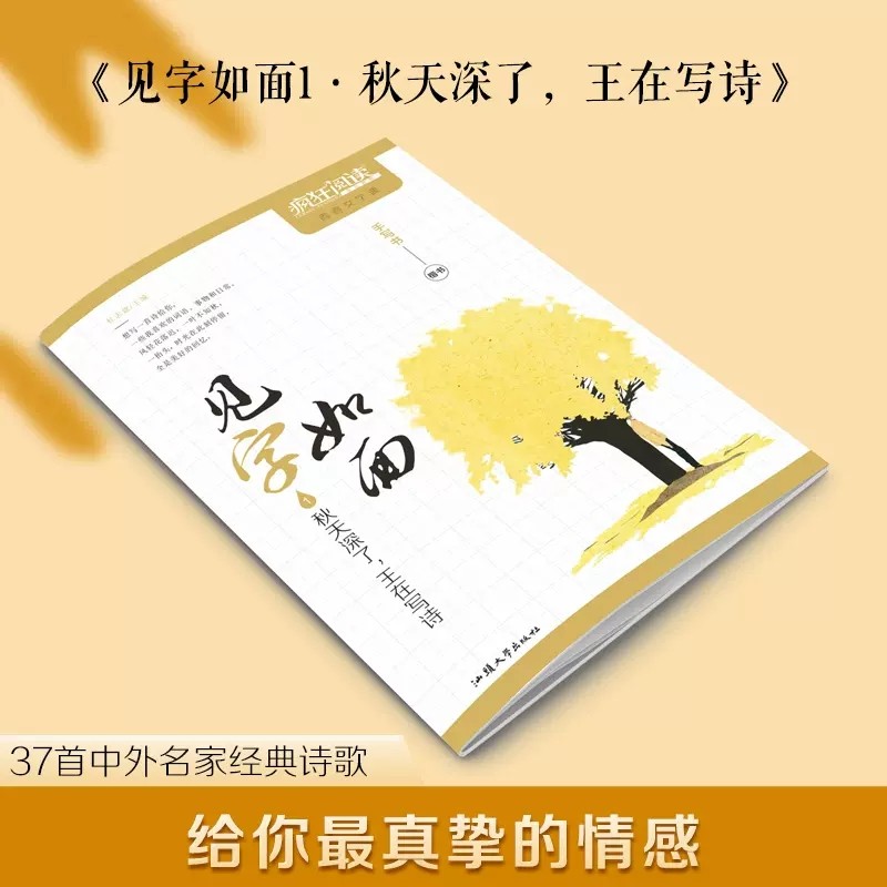 初高中生课堂练字帖钢笔字行楷楷书硬笔书法文艺字体书法青春文字课