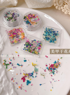 新款日系美甲干花饰品盒装