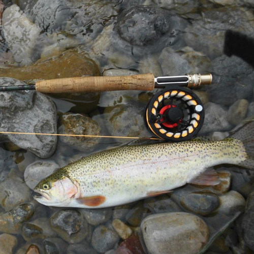 MAXCATCH飞钓竿 Skyhigh高碳溪流杆2.7米4节虹鳟狗鱼鲟鱼碳素水库