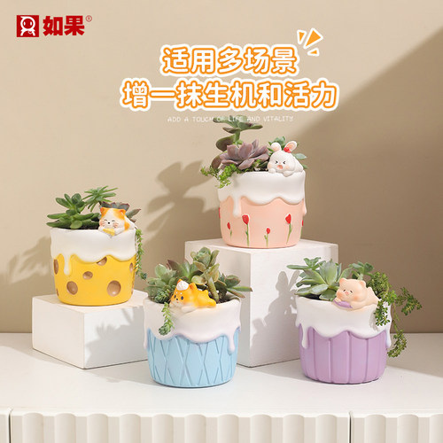 自然探险多肉花盆植物盆栽