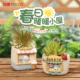 春日暖暖小屋多肉花盆创意个性 可爱卡通动物微景观花园阳台盆栽