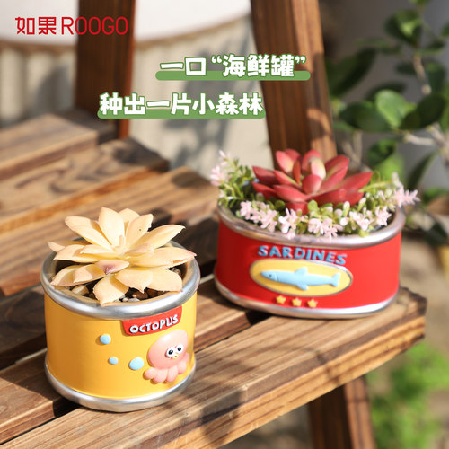 办公室桌面可爱多肉花器摆件罐头花房花盆创意阳台花园绿植盆栽