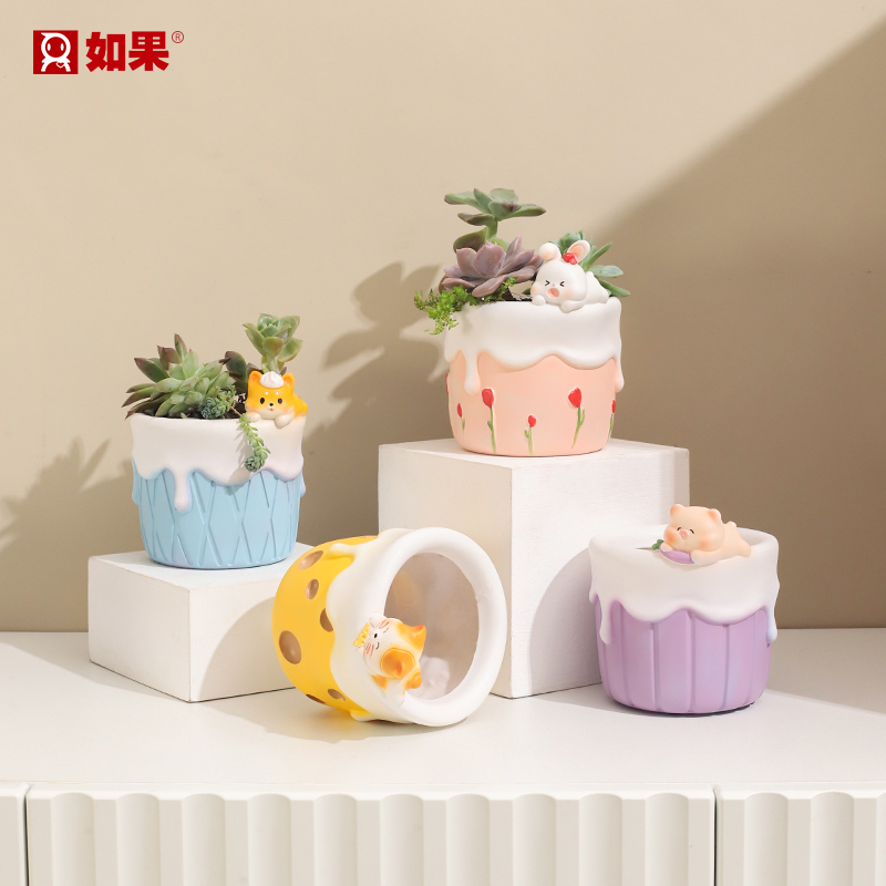 自然探险多肉花盆植物盆栽