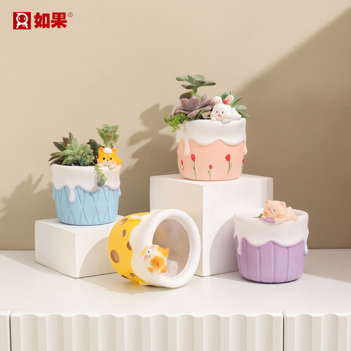 自然探险多肉花盆植物盆栽