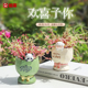 欢喜予你花盆创意阳台花园多肉小花盆办公室桌面装 饰盆栽送礼好物