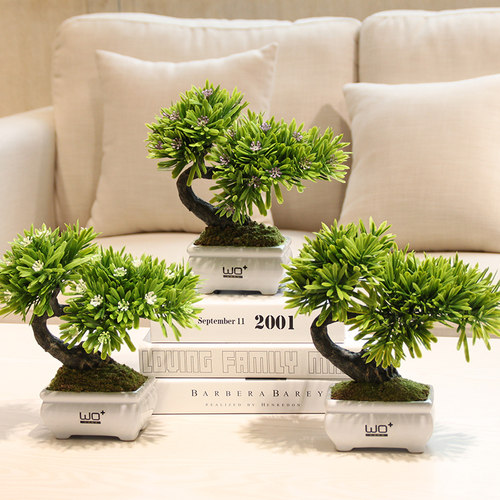 wo+长青树家居饰品电脑桌草球