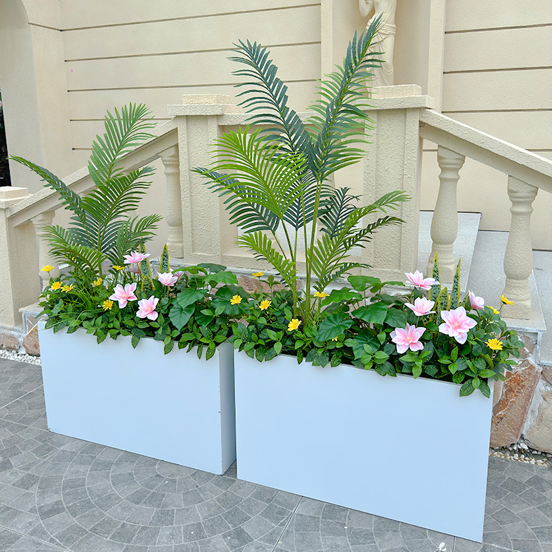 wo+仿真玉兰散尾葵绿植花箱搭配