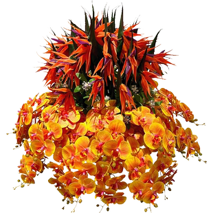 wo+仿真蝴蝶兰鹤望兰酒店大堂商场会所圆桌别墅装饰花高档盆栽花